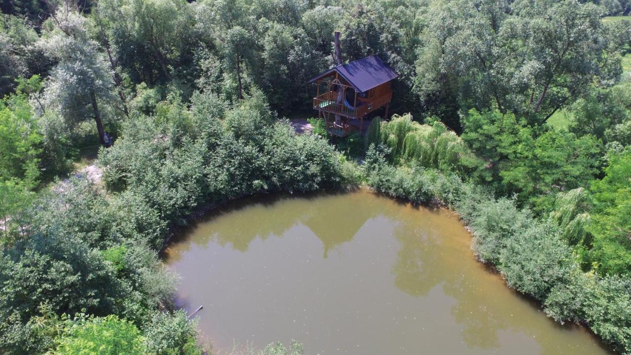 فيلا Cuibul Vulturilor - Casuta In Copac مويزي المظهر الخارجي الصورة